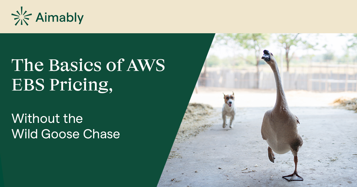 The Basics of AWS EBS Pricing, Without the Wild Goose Chase